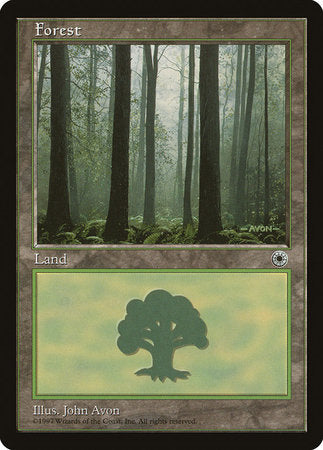 Forest (Ferns on Ground) [Portal] | Magic Magpie