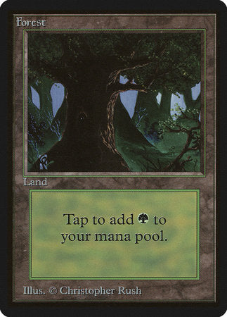 Forest (C) [Limited Edition Beta] | Magic Magpie