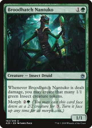 Broodhatch Nantuko [Masters 25] | Magic Magpie