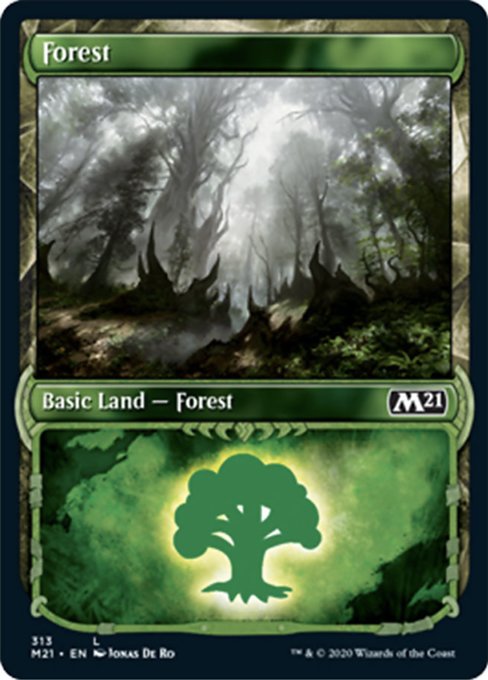 Forest (Showcase) [Core Set 2021] | Magic Magpie