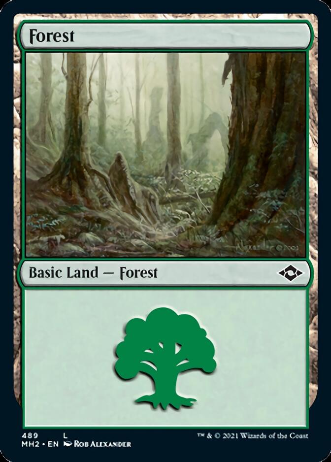 Forest (489) (Foil Etched) [Modern Horizons 2] | Magic Magpie