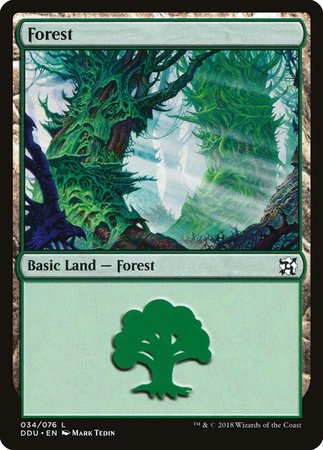 Forest (34) [Duel Decks: Elves vs. Inventors] | Magic Magpie