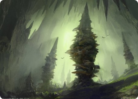 Forest (280) Art Card [Dungeons & Dragons: Adventures in the Forgotten Realms Art Series] | Magic Magpie
