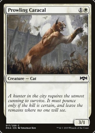 Prowling Caracal [Ravnica Allegiance] | Magic Magpie