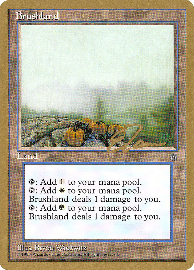 Brushland (Eric Tam) [Pro Tour Collector Set] | Magic Magpie