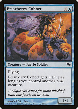 Briarberry Cohort [Shadowmoor] | Magic Magpie