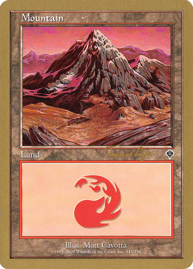 Mountain (tvdl343) (Tom van de Logt) [World Championship Decks 2001] | Magic Magpie