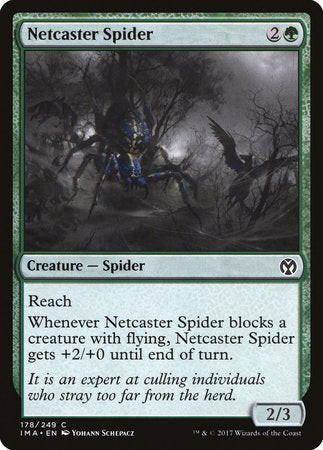 Netcaster Spider [Iconic Masters] | Magic Magpie