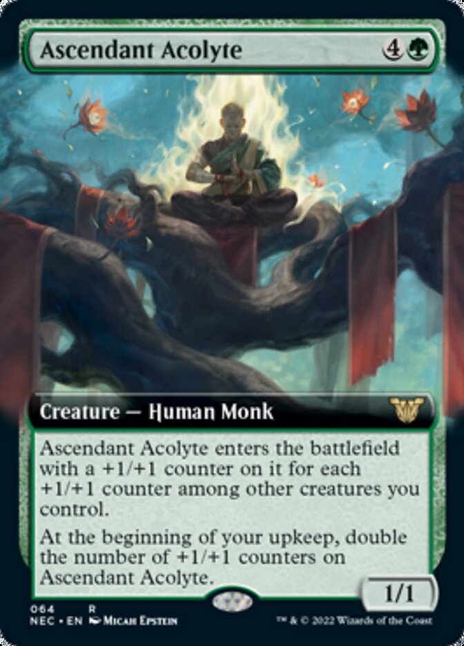 Ascendant Acolyte (Extended) [Kamigawa: Neon Dynasty Commander] | Magic Magpie