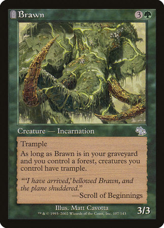 Brawn [Judgment] | Magic Magpie