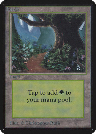 Forest (B) [Limited Edition Alpha] | Magic Magpie